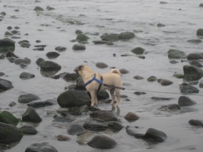 York Beach, Maine 2009