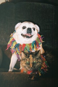 Abby and Dinah celebrating on New Years Eve!!!