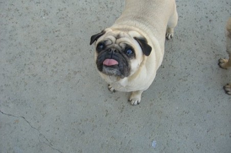 How 'bout one more lick of that ice cream cone?