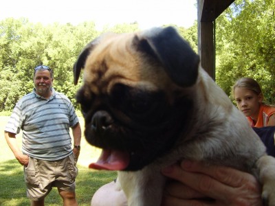 August pug meet