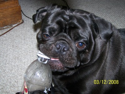 Otis and his Bottle