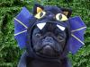 I'm Bat Pug!