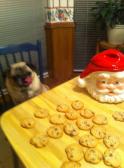 Bennie and Cookies