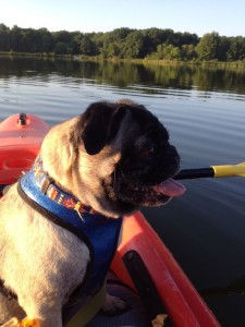 Bernie Kayaking