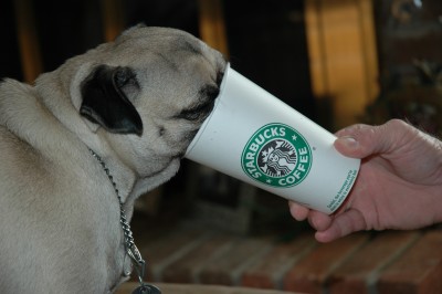 Buffy and her empty cup!!!!!!