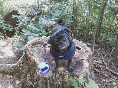 At the park over the holiday weekend