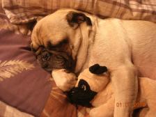 snuggling in bed with mamma