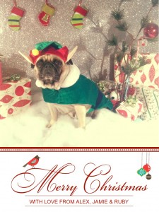 Elf Pug