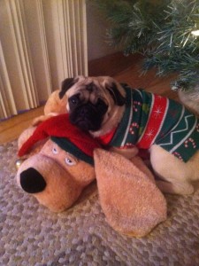 Oscar with stuffed buddy