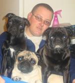 Dad and the spoiled pugs