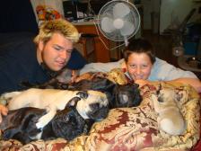 The Pugs and the Kids