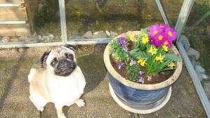 nora love flowers and sitting in a warm house