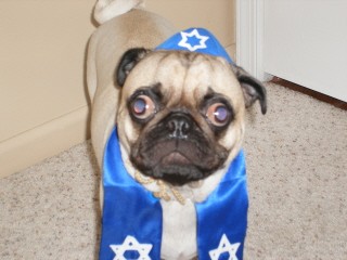 Herman's Bark Mitzvah!!!