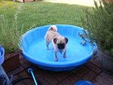 Hendley in his pool.