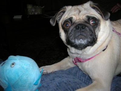 maddie with her toy