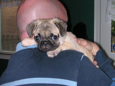 Snuggling with Dad