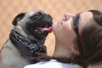 Pugs and Kisses