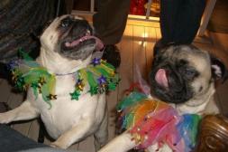 Party Pugs