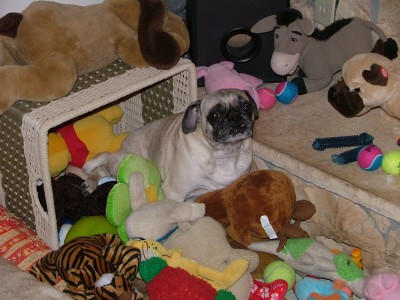 Eve in the toy box!