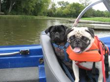 Boating