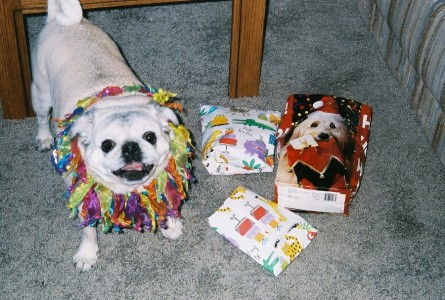 Miss Abby with her presents from Gramma