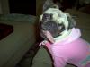 My new pretty pink jogging suit