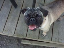 Hanging out on the deck.