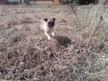 Playing on the Platte