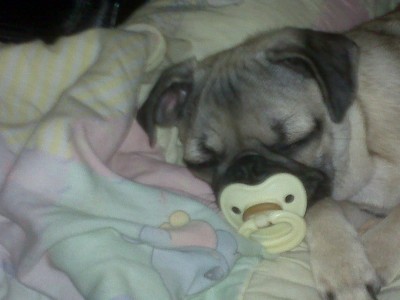 Ruby & her pacifier!!!