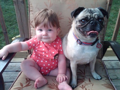 Cora and Abbey the Pug