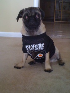 Flyers Fan