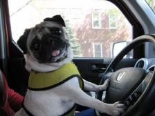 Driving Mr. Benjamin