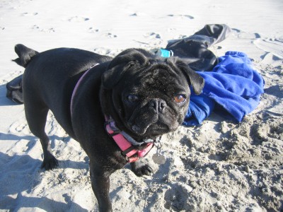 Cecilia on the beach