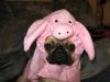 Ednahh the pugs halloween costume