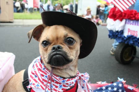 Cowgirl Lola