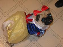 Lola as Snow White