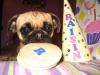 Raisins 1st birthday