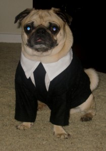 Rosco as Men in Black's Frank