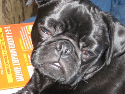 Raisin on Reading