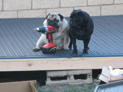 Job site supervisor