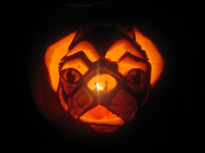 We Carved our Pug Pumpkin