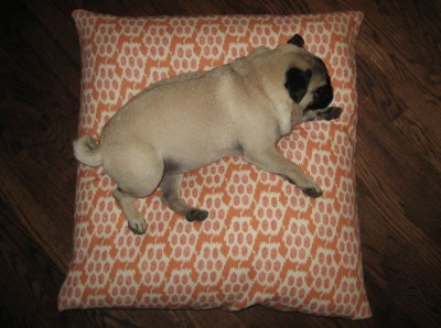 Pillow Puggie