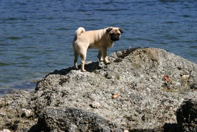 A Day At The Beach