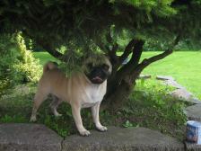 Nora in the garden