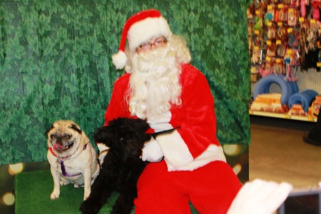 Puggsie, Riley and Santa Paws 2010