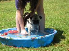 Ugh, the pool!!