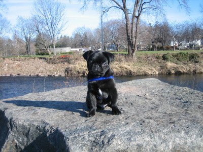 Rock Climbing