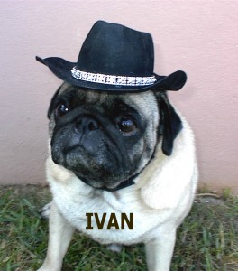 Ivan with Cowboy Hat