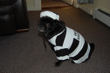 Prisoner of Halloween!