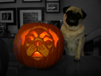 LiLi's Pugkin